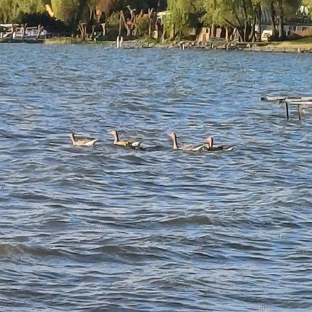 Gosciniec Twoje Mazury Nad Jeziorem Sniardwy Tuz Obok Plazy Nowe Guty Extérieur photo