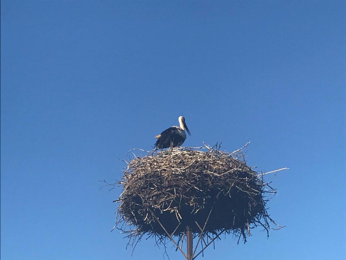 Gosciniec Twoje Mazury Nad Jeziorem Sniardwy Tuz Obok Plazy Nowe Guty Extérieur photo