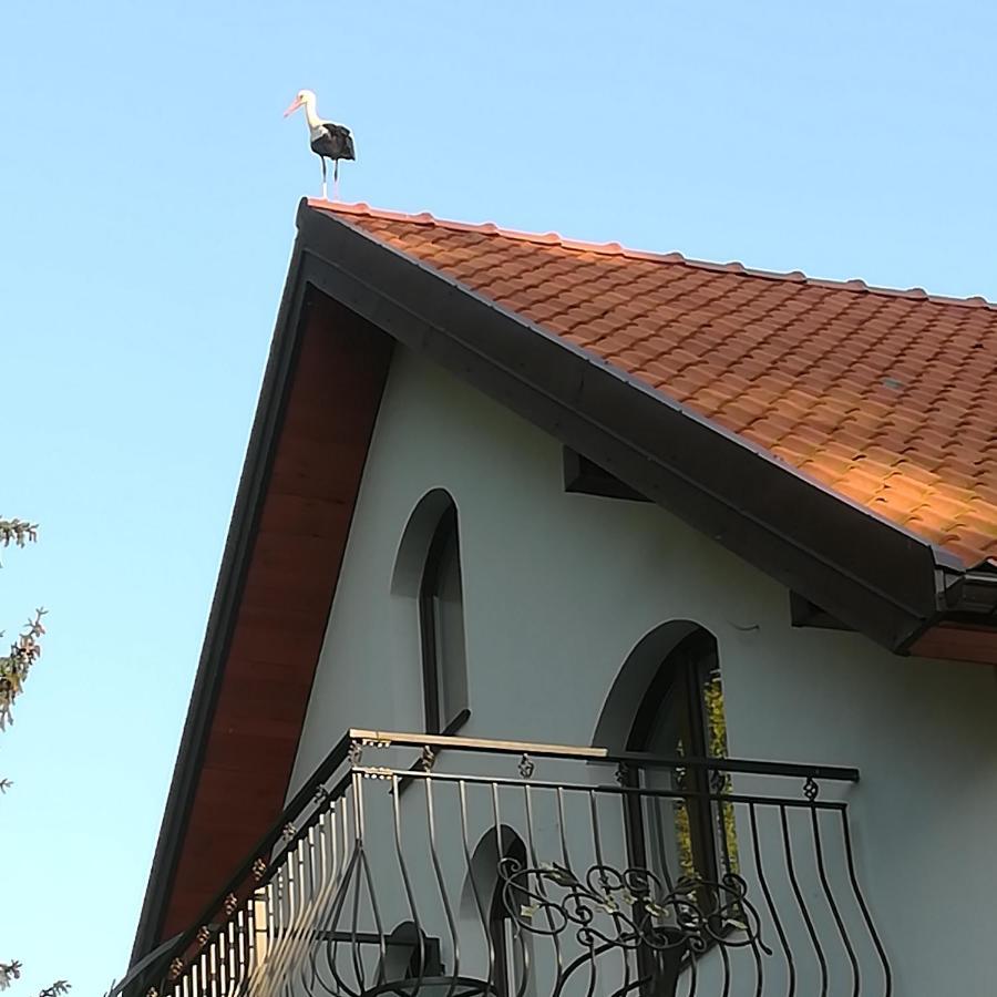 Gosciniec Twoje Mazury Nad Jeziorem Sniardwy Tuz Obok Plazy Nowe Guty Extérieur photo